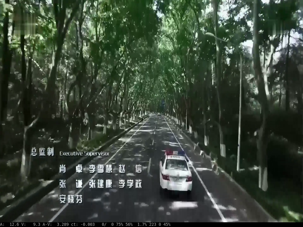 w3m-mplayer.png