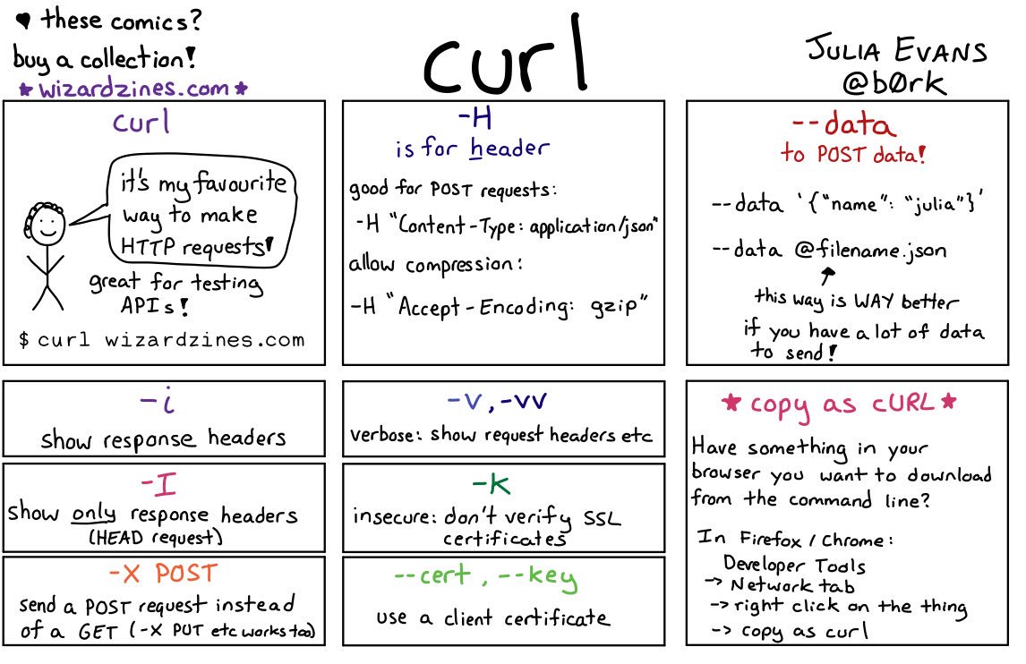 curl.jpg